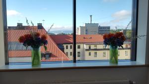 奥斯陆蒙特贝罗酒店的两瓶花花摆在窗台上