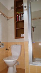 奥什恰德尼察Apartmán Arsinoe的浴室配有白色卫生间和淋浴。