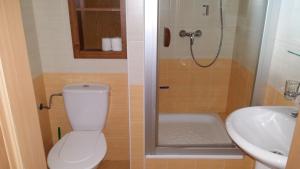 奥什恰德尼察Apartmán Arsinoe的一间带卫生间和水槽的浴室