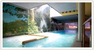 里奥帕尔里奥帕尔温泉酒店的瀑布壁画中的游泳池