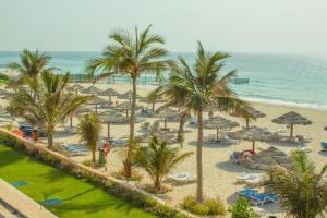 沙迦莎拉罗劳比池度假酒店的棕榈树和椅子的海滩和大海