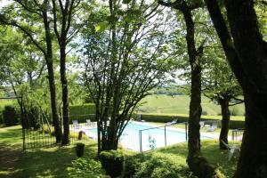 马赫伊列邦斯恩Hôtel Restaurant La Montagne De Brancion的享有游泳池的树木景致
