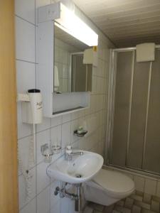 Eischoll艾绍尔住宿加早餐旅馆的一间带水槽、卫生间和镜子的浴室