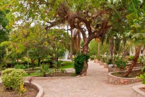 希亚丰加卡里巴湖酒店的公园里拥有喷泉、树木和人行道