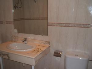 托莱多中心旅馆的一间带水槽和卫生间的浴室