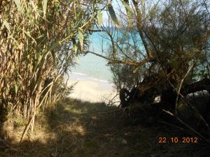 奥特朗托Case vacanza Gli Oleandri的透过树林欣赏海滩美景
