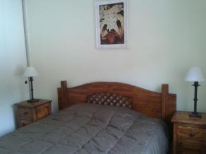 奇廉内瓦达斯Apartamento Termas de Chillán的一间卧室配有木床和2个床头柜