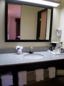 罗缪勒斯罗穆卢斯/底特律机场美国最有价值旅馆的浴室水槽和上面的大镜子