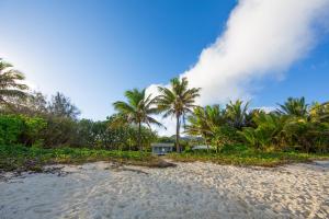 拉罗汤加Frederick and Ngamata's Beach House的棕榈树海滩和房子的背景