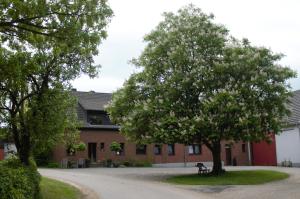 许特根瓦尔德Hardthof - Hürtgenwald的前面有两棵树的建筑