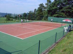 克日沃克拉特可咯尼酒店的两人在网球场打网球