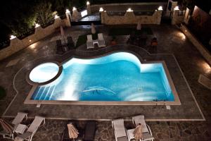 里科索翁Diwani Luxury Villas的享有游泳池的顶部景色,游泳池内有海豚