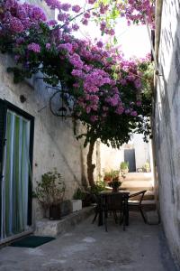 乌真托Corte Del Campanaro的紫色花树下的桌椅