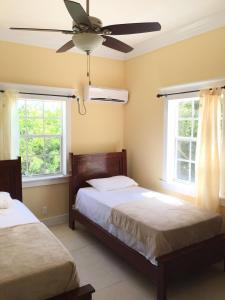 Behring PointMangrove Cay Sea View Villas的一间卧室配有两张床和吊扇
