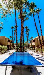 棕榈泉Desert Vacation Villas, a VRI resort的蓝桌,棕榈树背景