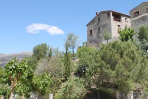 Vilella AltaCal Millo的一座树 ⁇ 的山顶上的古老建筑