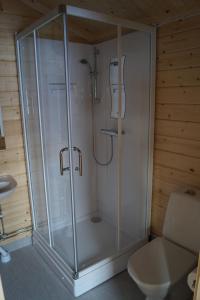 JerfojaurMyrkulla Lodge的一间带卫生间的浴室内的玻璃淋浴间