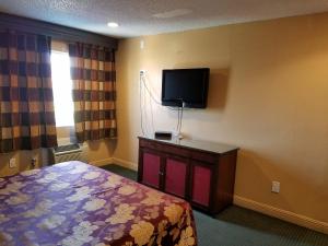 洛杉矶中央客栈汽车旅馆的一间卧室配有一张床和一台平面电视