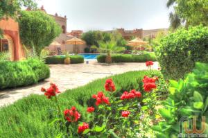 布马伦拉佩尔勒杜大德斯酒店的一座种有红色鲜花的花园和一个游泳池