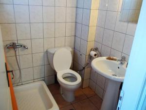伊古迈尼察村庄酒店的一间带卫生间和水槽的小浴室