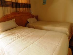 卡巴莱Capricon Executive Hotel Kabale的一间卧室,配有两张床