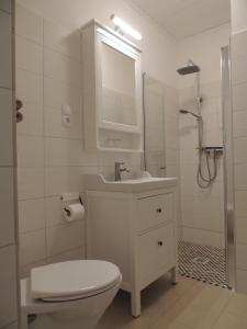 格洛米茨Lindenhof的浴室配有卫生间、盥洗盆和淋浴。