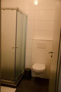 布尔诺附近斯拉夫科夫Apartment Lidická Slavkov, 4 person的一间带卫生间和玻璃淋浴间的浴室