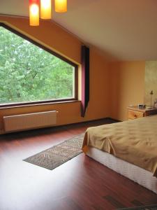 ŞişeştiCasa Roatis的一间卧室设有一张床和一个大窗户