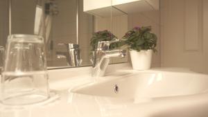 Sabrodt羊驼度假公寓的浴室水槽,上面有水龙头和植物