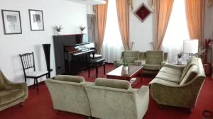 兰恰诺Hotel Excelsior的带沙发和钢琴的客厅