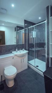 阿伯丁Bluetree Apartments Guild Street City Center的浴室配有卫生间、淋浴和盥洗盆。