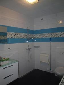 栋堡B&B De Domburcht的带淋浴、盥洗盆和卫生间的浴室