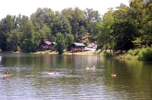 Freewood AcresForest Lake Camping Resort Lakefront Cabin 2的在湖中游泳的一群人
