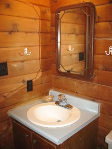 Freewood AcresForest Lake Camping Resort Lakefront Cabin 2的一间带水槽和镜子的浴室