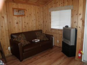 西塞德Seaside Camping Resort Studio Cabin 3的带沙发和电视的客厅