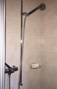 萨斯格伦德Cresta di Saas的浴室内配有淋浴和头顶淋浴