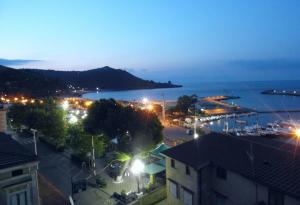 卡梅罗塔码头Albergo Riccio的港口城市的夜视