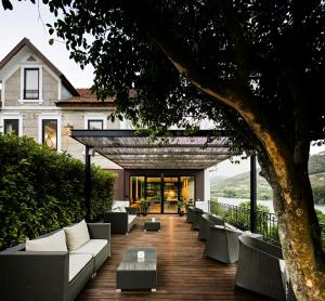 梅桑弗里乌Quinta de S.Bernardo - Winery & Farmhouse的一个带沙发和树的户外庭院