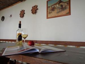 滨湖默尔比施Gasthaus Helena的一杯葡萄酒和一张桌子上的一本开放式书籍