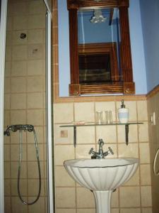 埃斯皮诺萨德洛斯蒙特罗斯Hotel Rural La Casa del Montero的浴室配有盥洗盆和带镜子的淋浴
