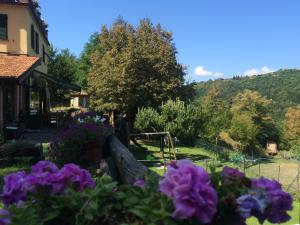 BorzonascaAgriturismo LA TAVERNA DEL NONNO的紫色花卉花园美景