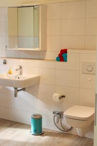 SüderhöftFerienwohnung Vogelsang的一间带水槽、卫生间和镜子的浴室