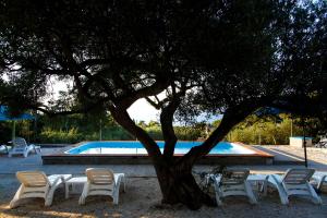 苏佩塔尔沃特曼滩度假村的一组椅子和一棵树,旁边是游泳池