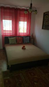 Gornja ToplicaApartment Krstin Banja Vrujci的一间卧室设有一张大床和红色窗户