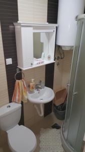Gornja ToplicaApartment Krstin Banja Vrujci的一间带水槽、卫生间和镜子的浴室