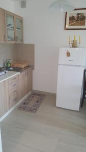 Gornja ToplicaApartment Krstin Banja Vrujci的厨房配有白色冰箱和水槽