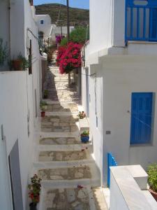 帕诺尔莫斯Ioanna's的一条狭窄的小巷,有白色的建筑和鲜花