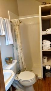 星期五港Jones Cabin的浴室配有卫生间、淋浴和盥洗盆。