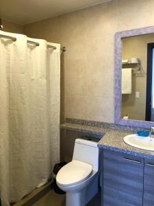 基多Apartamento Finlandia Park Suite的一间带卫生间、水槽和镜子的浴室