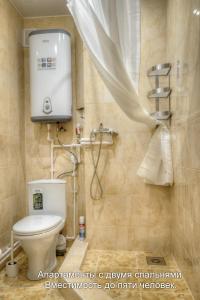 普斯科夫Apartments On Sovetskaya的一间带卫生间和淋浴的浴室。